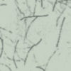 01050281.jpg