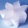 11902003.jpg
