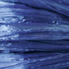 28002580.jpg