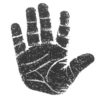 39545256.jpg