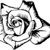 39555115.jpg