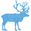 39990442-2.jpg
